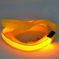 Flashing LED Nylon Pet Leash
